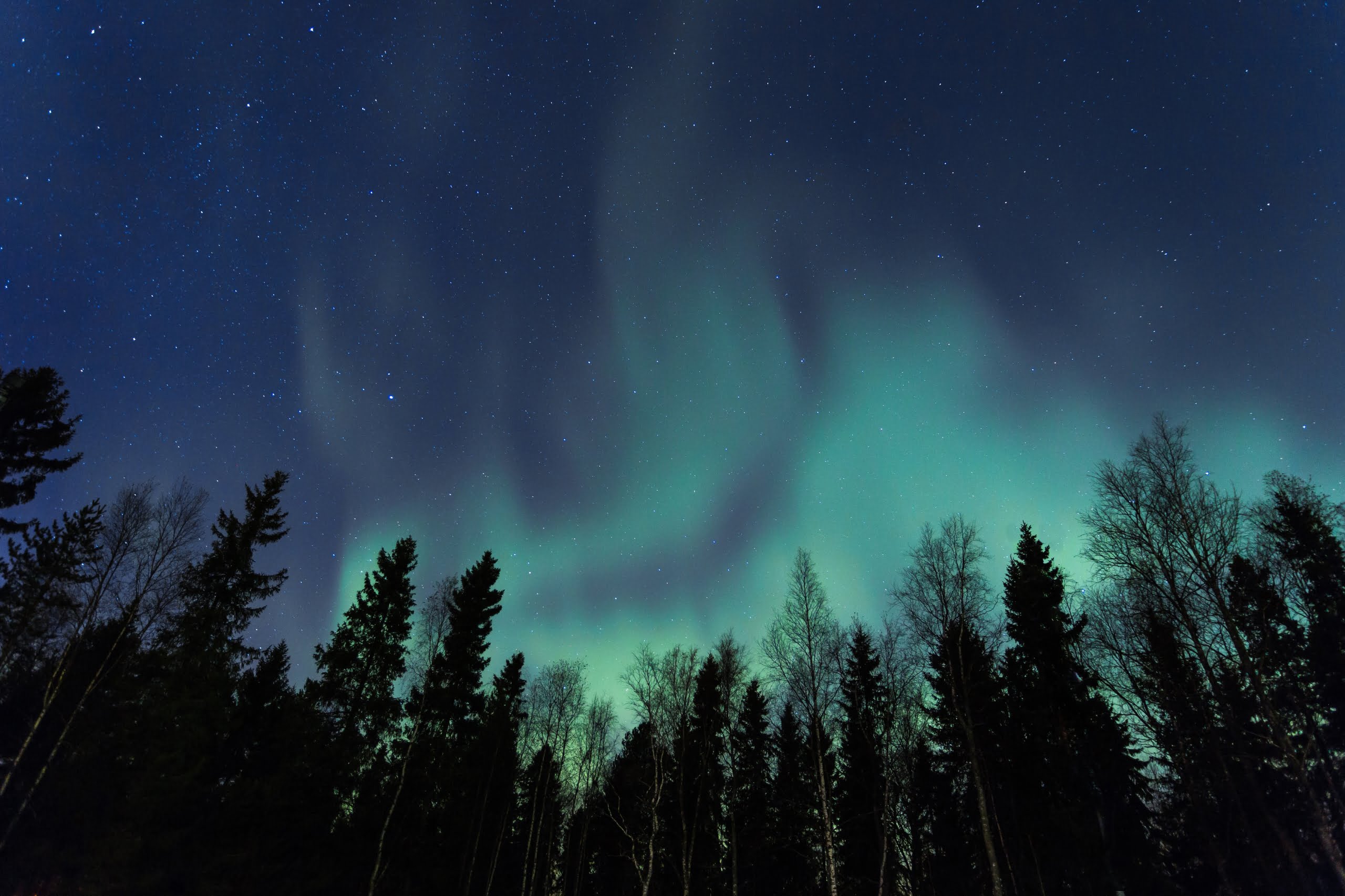 Ein unvergessliches Highlight in Finnland - Die Nordlichter.